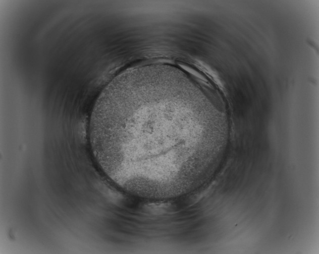 X0000096940065200803071015
