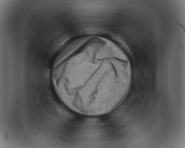 X0000096940066200803071015