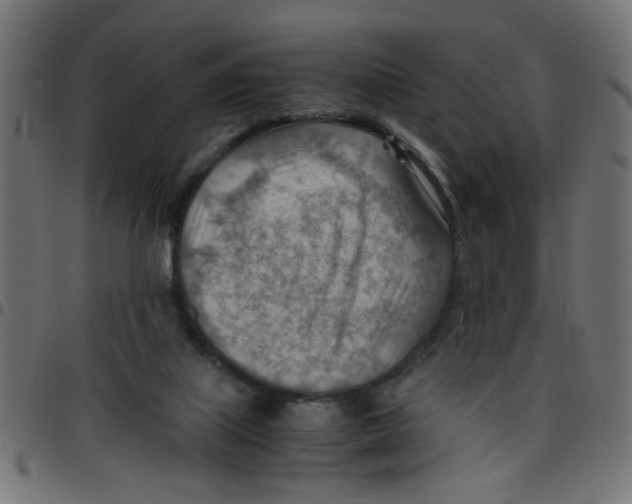 X0000096940067200803071015