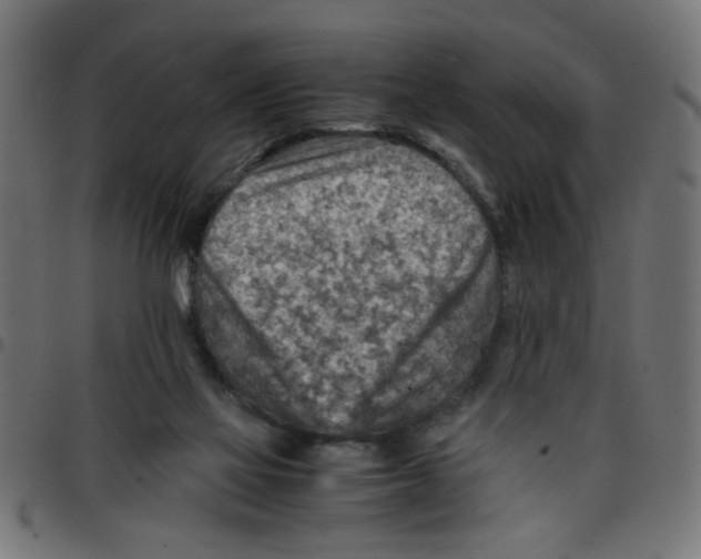 X0000096940069200803071015