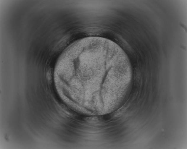 X0000096940074200803071015