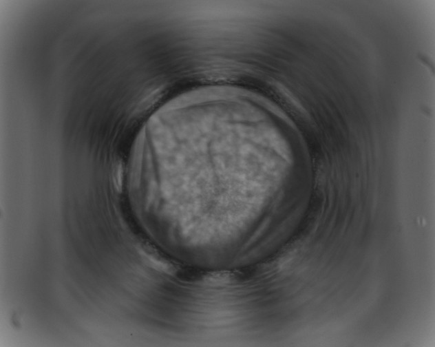X0000096940076200803071015