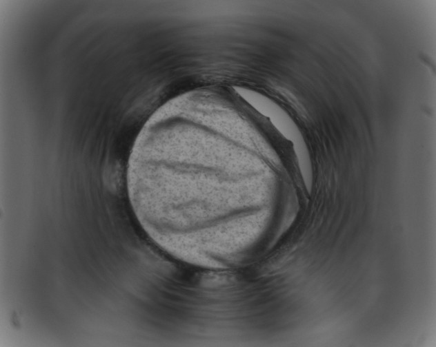 X0000096940077200803071015