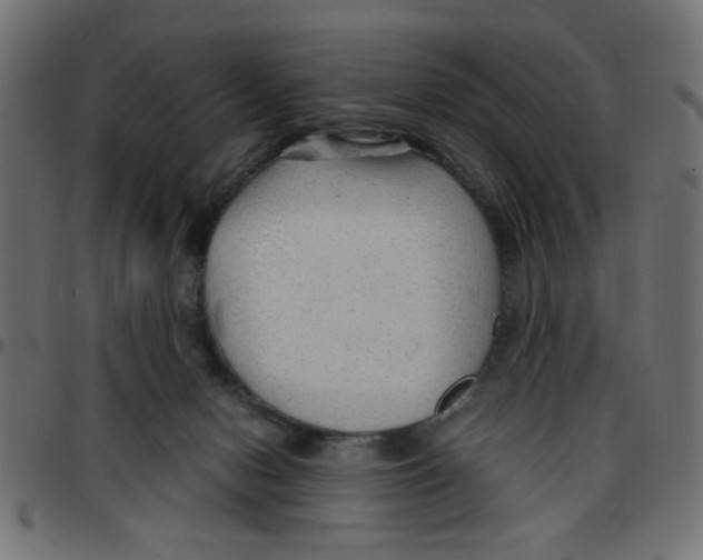 X0000096940078200803071015