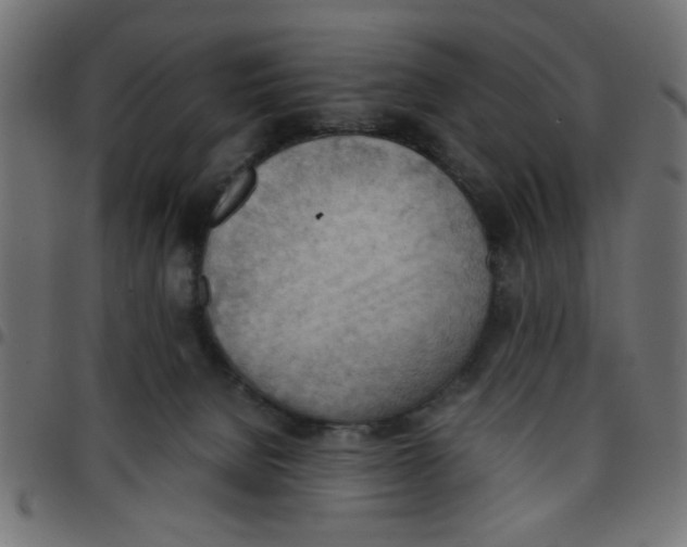 X0000096940080200803071015