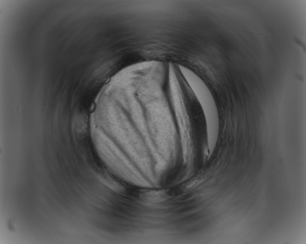 X0000096940081200803071015