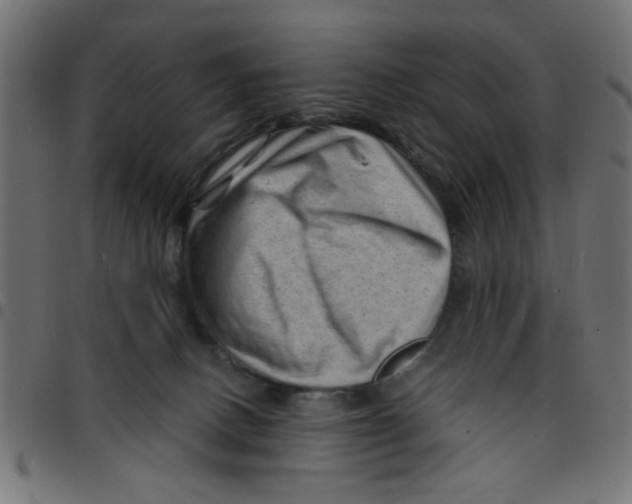 X0000096940082200803071015