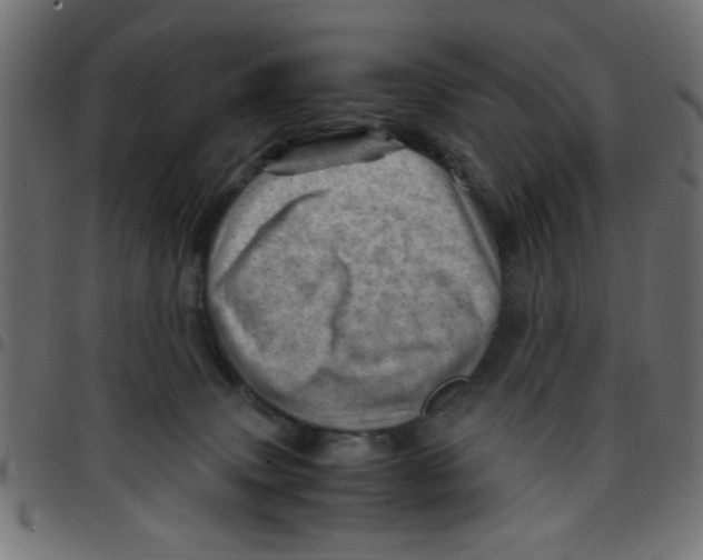 X0000096940083200803071015