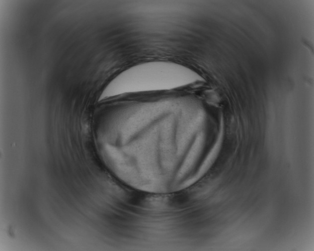 X0000096940084200803071015