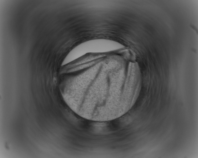 X0000096940085200803071015