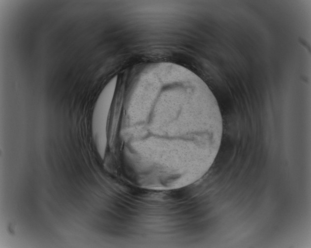 X0000096940086200803071015