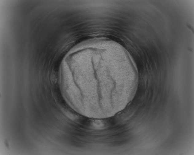 X0000096940091200803071015