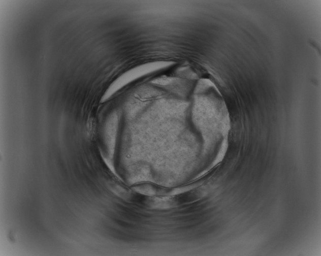 X0000096940093200803071015