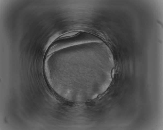 X0000096940099200803071015