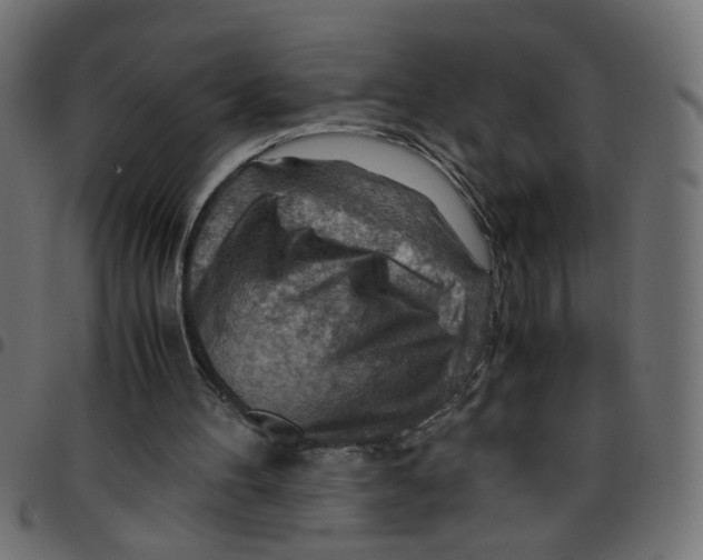 X0000096940100200803071015