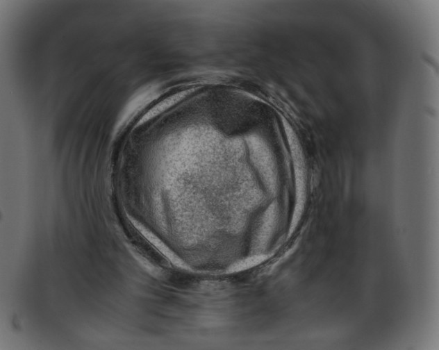 X0000096940101200803071015