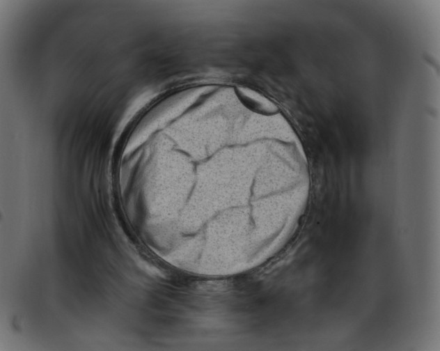 X0000096940102200803071015
