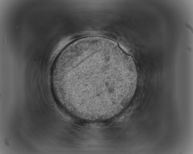X0000096940103200803071015