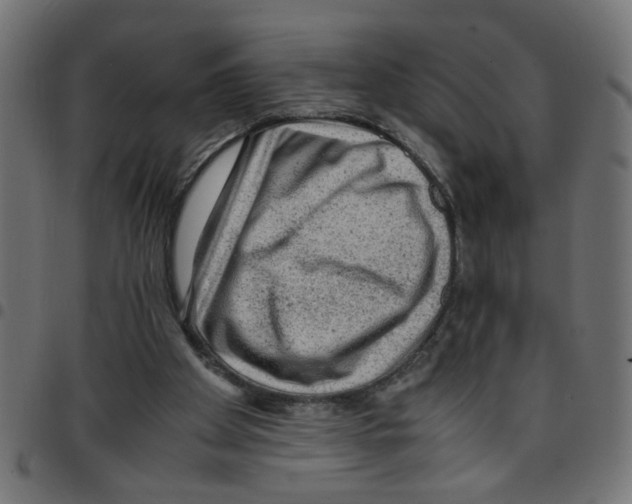 X0000096940105200803071015