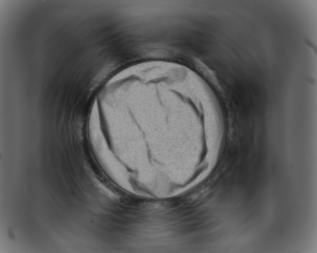 X0000096940106200803071015