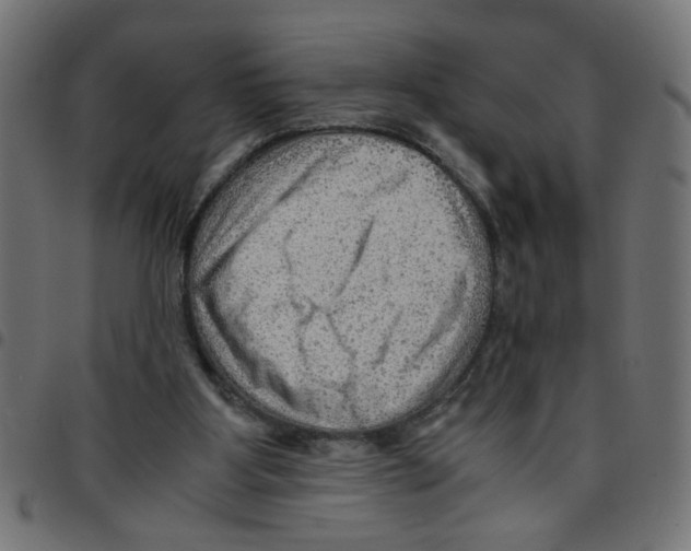 X0000096940107200803071015
