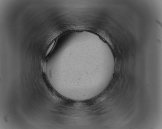 X0000096940109200803071014