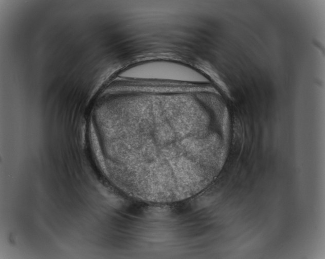 X0000096940110200803071014