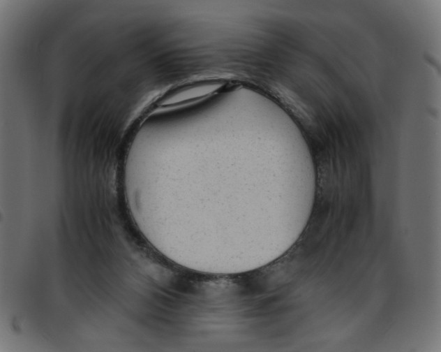 X0000096940112200803071014