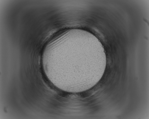 X0000096940115200803071014