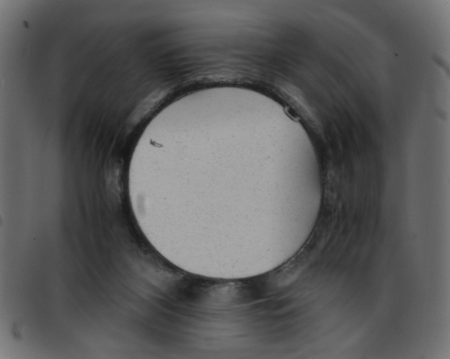 X0000096940116200803071014