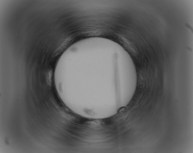 X0000096940118200803071014