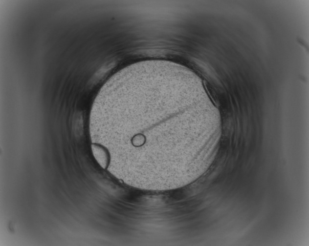 X0000096940120200803071014