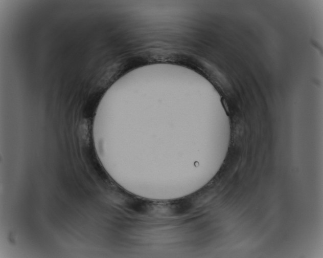 X0000096940121200803071014
