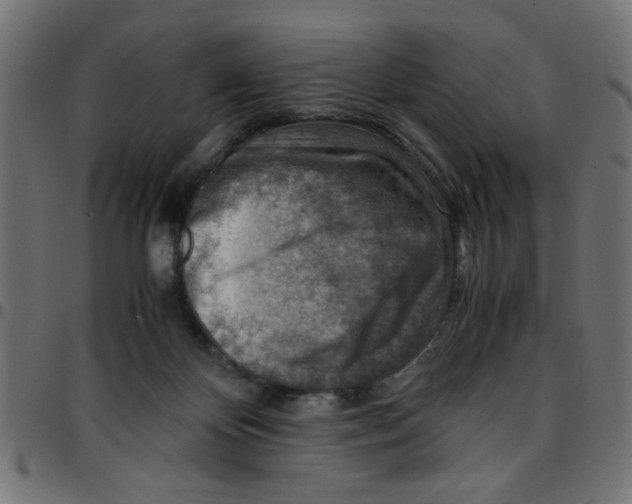 X0000096940124200803071014
