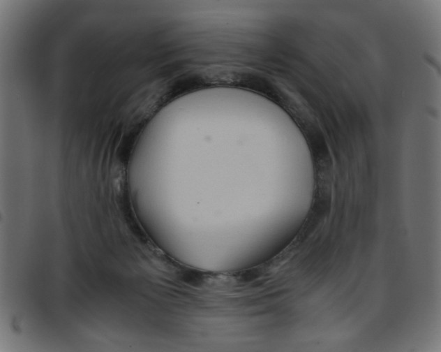 X0000096940125200803071014