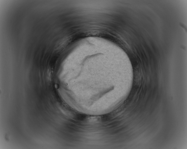 X0000096940126200803071014