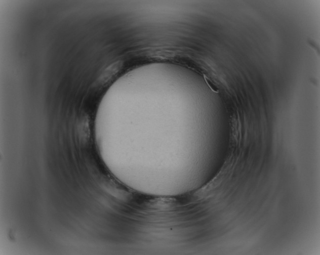 X0000096940128200803071014