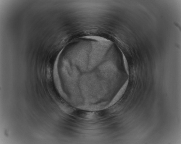 X0000096940130200803071014