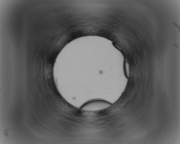 X0000096940133200803071014