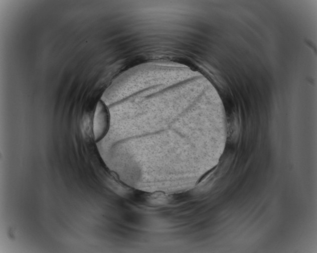 X0000096940142200803071014