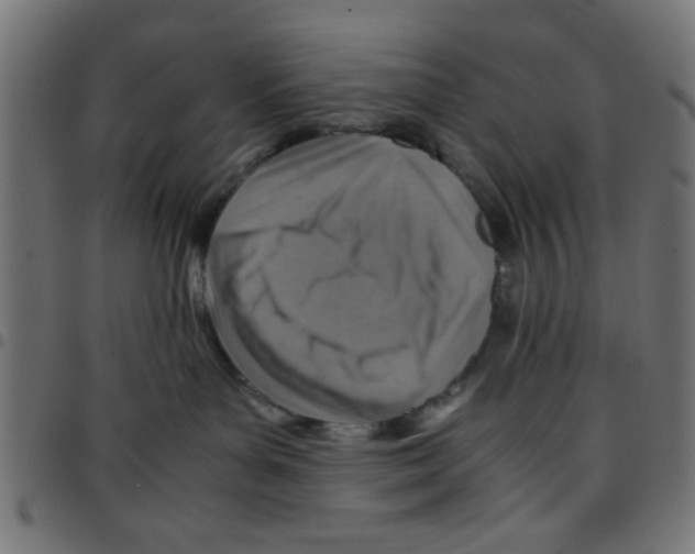 X0000096940143200803071014