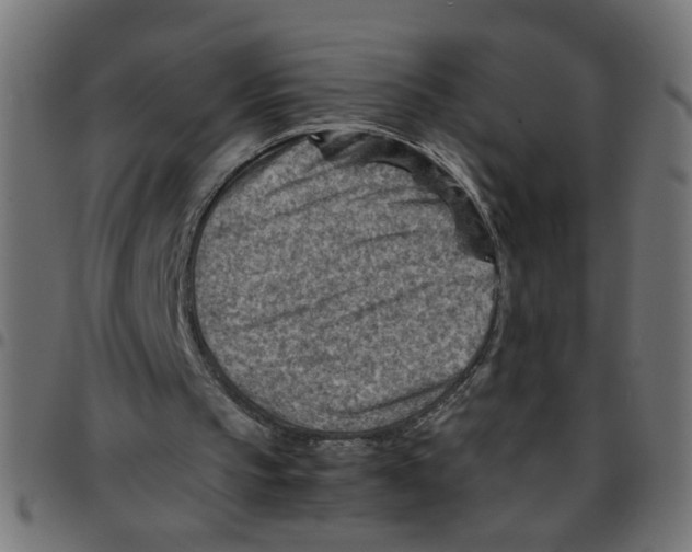 X0000096940145200803071013