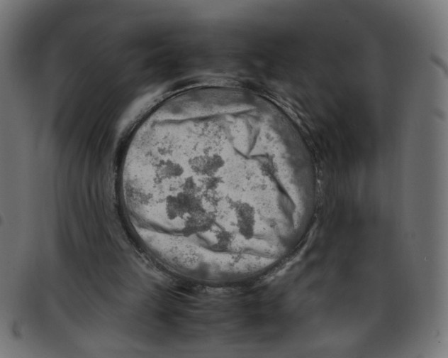 X0000096940149200803071013