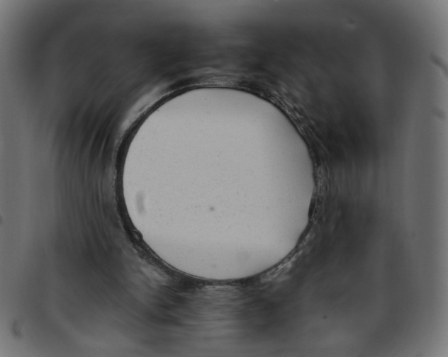 X0000096940150200803071013