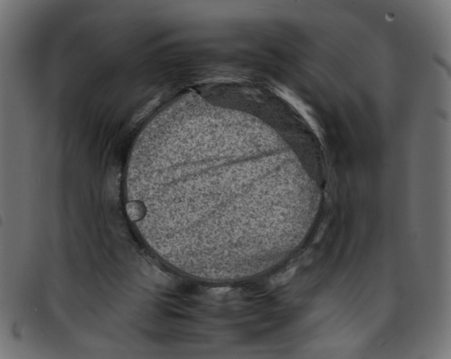 X0000096940153200803071013