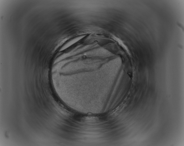 X0000096940154200803071013