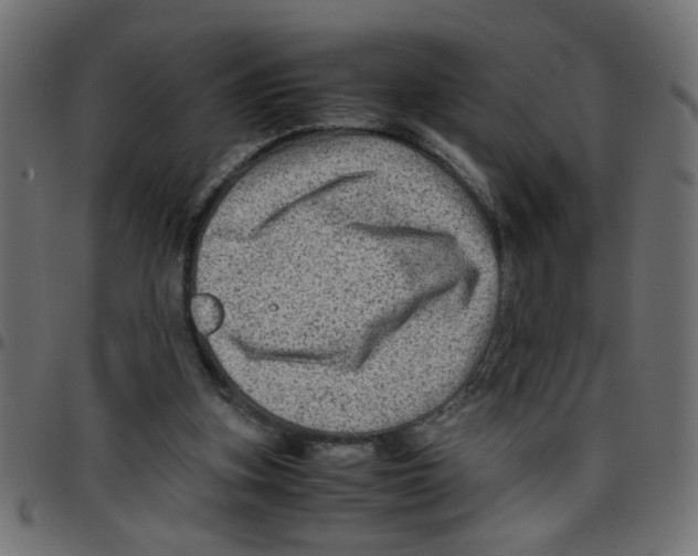 X0000096940155200803071013