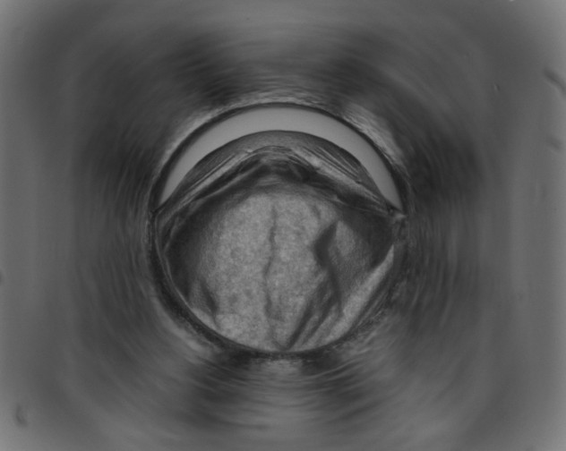 X0000096940156200803071013
