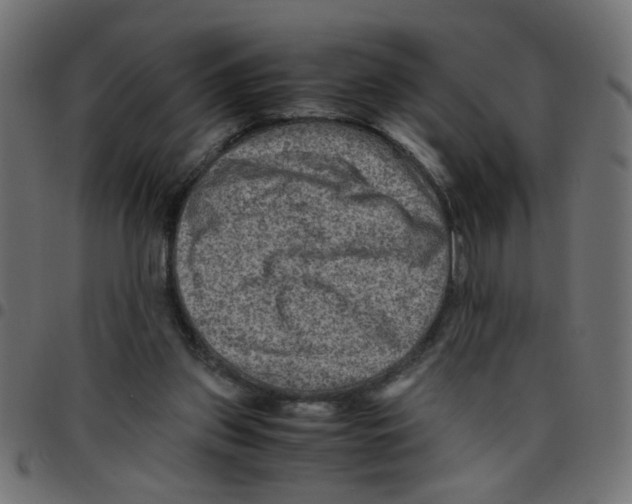 X0000096940157200803071013