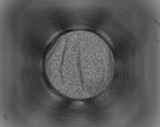 X0000096940159200803071013